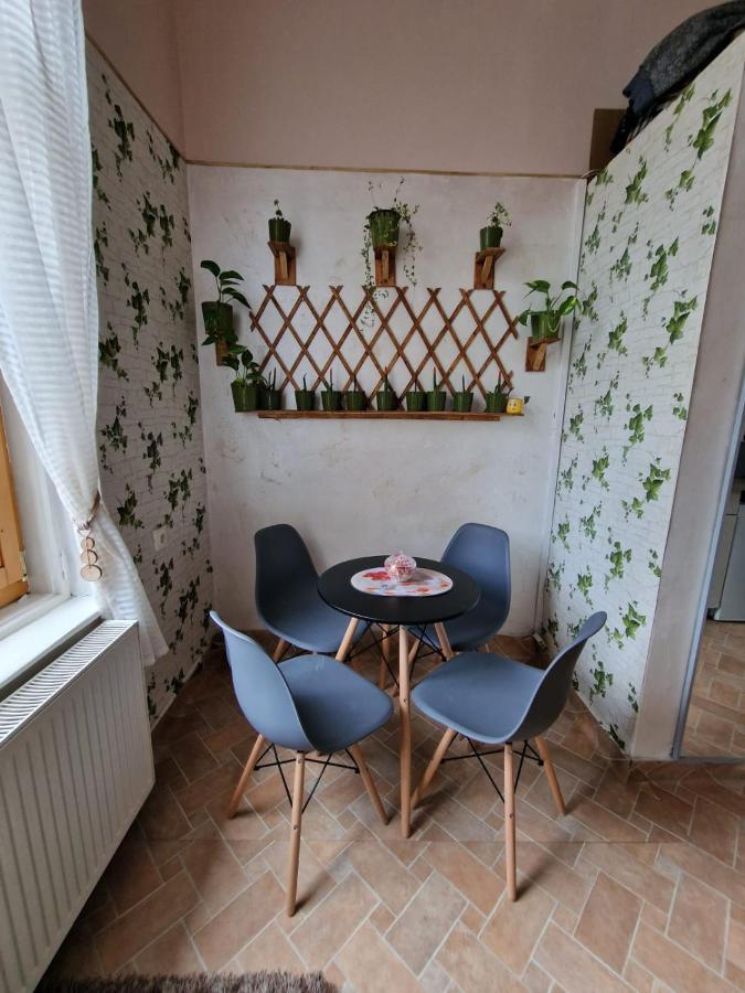 Apartment Ultracentral 2 Piata Muzeului *